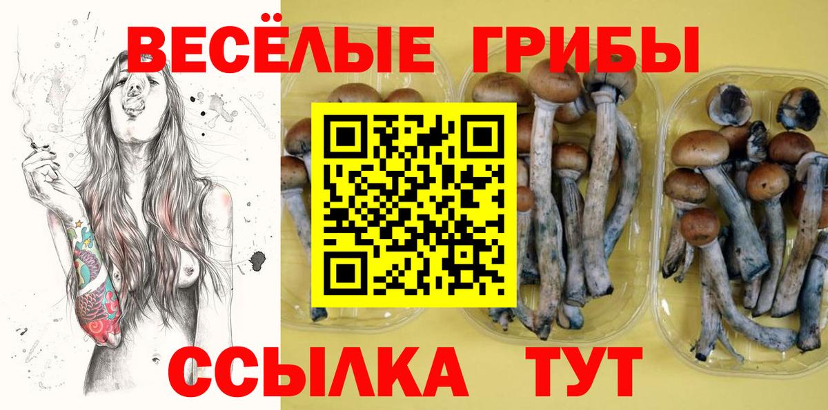 Галлюциногенные грибы MAGIC MUSHROOMS Воркута